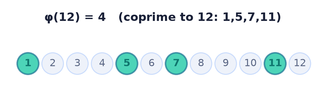 Euler's totient phi(12) = 4: coprime residues 1, 5, 7, 11