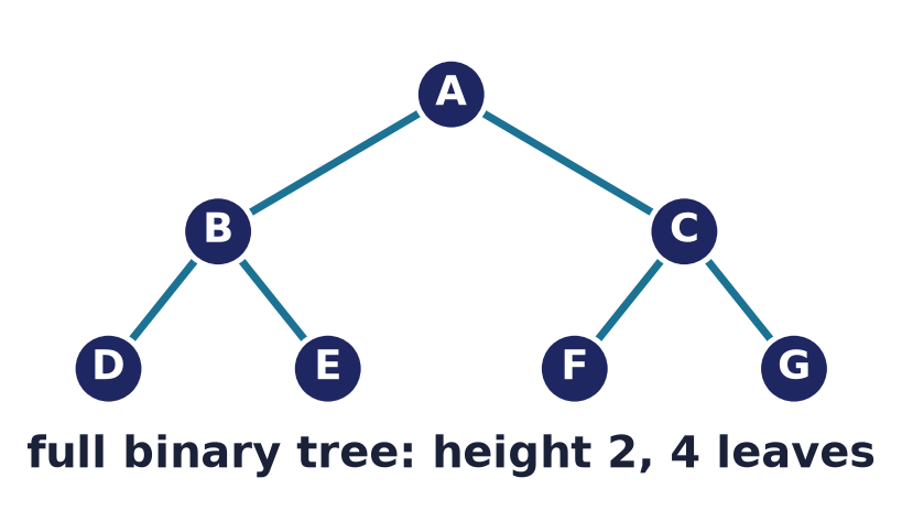 A full binary tree of height 2 with four leaves (every internal vertex has exactly two children)